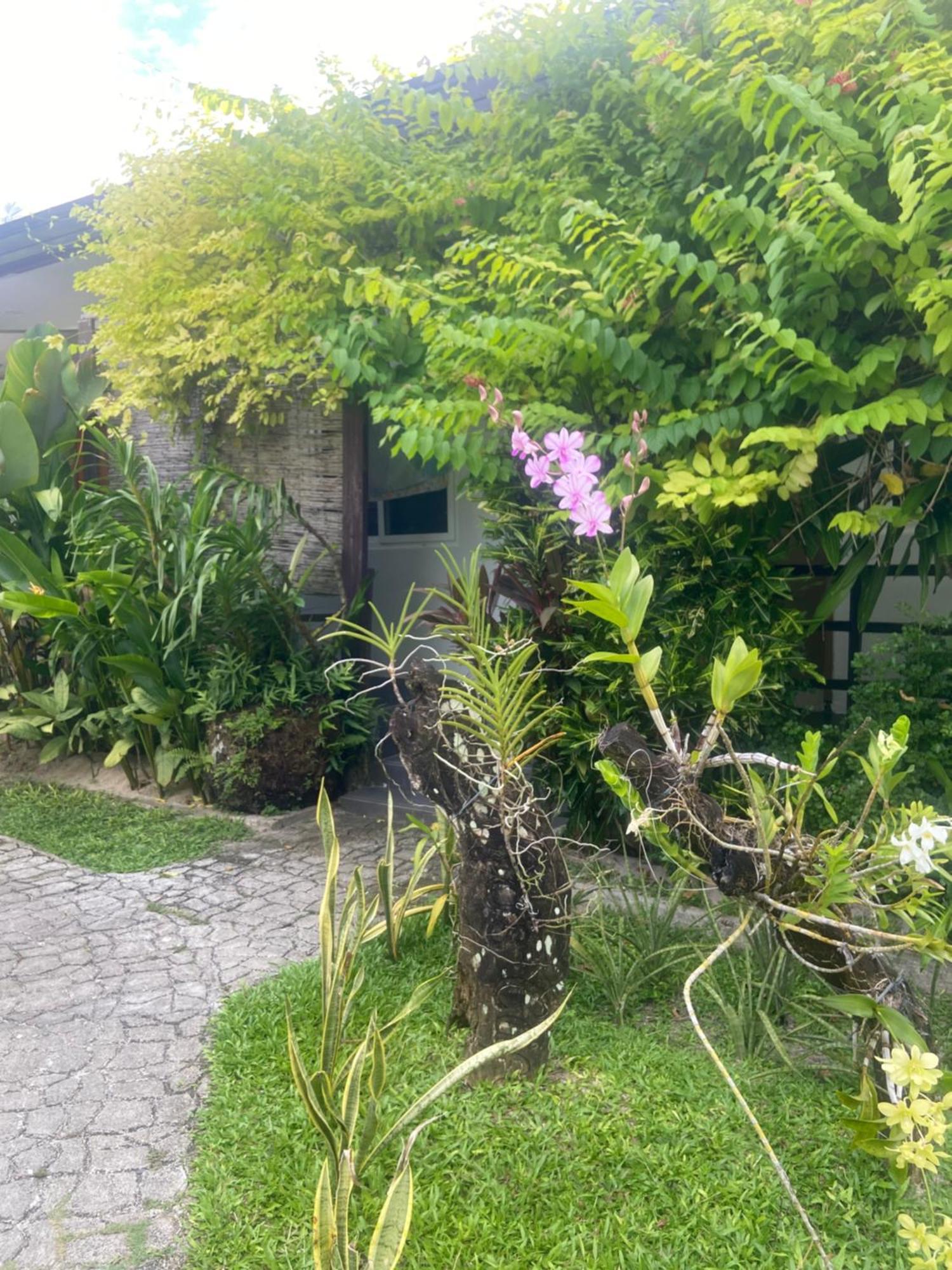 Hotel Vivo Siargao General Luna  Exteriér fotografie